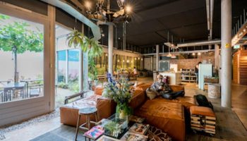 Ecomama Hotel's gay-friendly interior. A man relaxes on a brown leather couch. The hotel's common area is stylish and inviting. Travel advice.