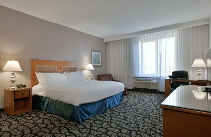 Empire Suites gay-friendly hotel room. Queen bed, desk, and chair. Modern design. Perfect for gay men's travel. Comfortable stay.