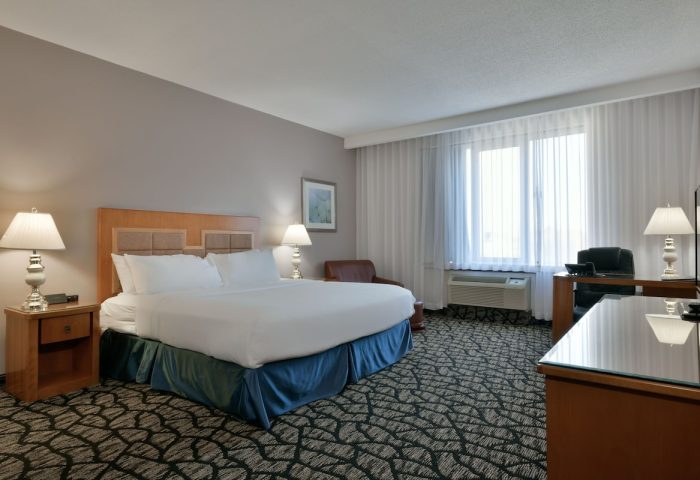 Empire Suites gay-friendly hotel room. Queen bed, desk, and chair. Modern design. Perfect for gay men's travel. Comfortable stay.