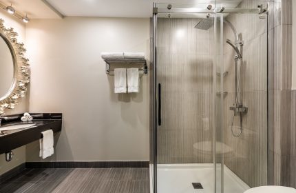 Empire Suites gay-friendly hotel bathroom. Features a glass shower, sink with mirror, and modern design. Ideal for gay men's travel.