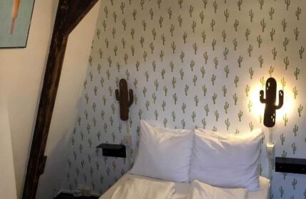 Flying Pigs Downtown Hostel Amsterdam room. Gay-friendly hotel with cactus wallpaper, wood beam, and woven light fixture.
