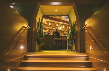 Freehand Chicago gay-friendly hotel bar. Person sits at the bar, viewed from the stairs. Plants flank the entrance. Nightlife.