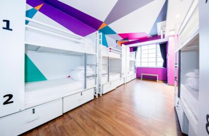 Generator London gay-friendly hotel pet-friendly room. Bunk beds line a hostel room with colorful geometric ceiling art. Wood floor, white linens.