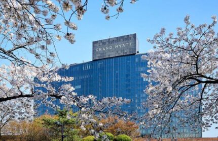 Grand Hyatt Seoul, a gay-friendly hotel, framed by cherry blossoms. Blue glass facade with the hotel's name on top. A luxury choice for gay travelers.