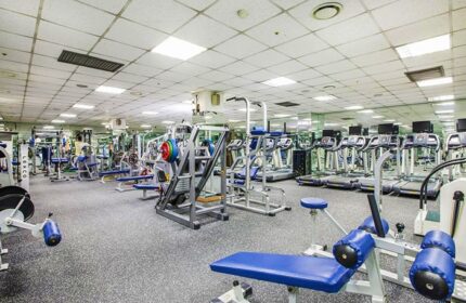 Gym at Hamilton Hotel Itaewon, a gay-friendly hotel. Fitness center with treadmills, weights, and exercise machines for gay travelers.