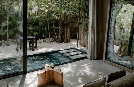 Hotel Bardo Adults Only gay-friendly hotel: Room view of a private pool and tropical garden. Ideal for gay travelers seeking a relaxing vacation.