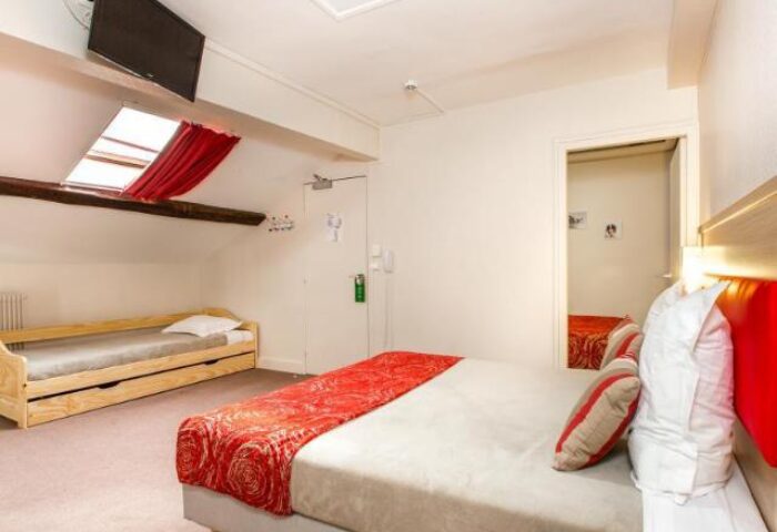 Hotel Dwin's pet-friendly room: bed, daybed, TV, and skylight. A gay-friendly hotel offering comfortable accommodations.