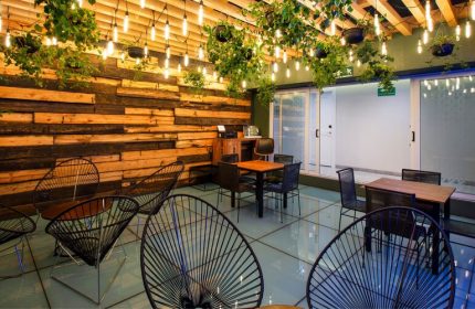 Hotel MX mas reforma gay-friendly hotel. Interior with wooden wall, hanging plants, string lights, and modern chairs. Stylish design.