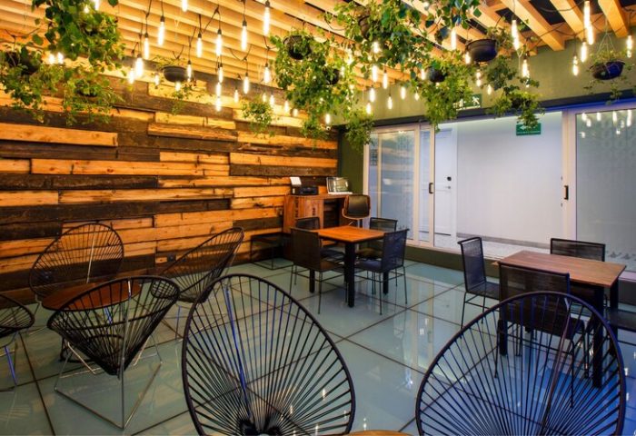 Hotel MX mas reforma gay-friendly hotel. Interior with wooden wall, hanging plants, string lights, and modern chairs. Stylish design.