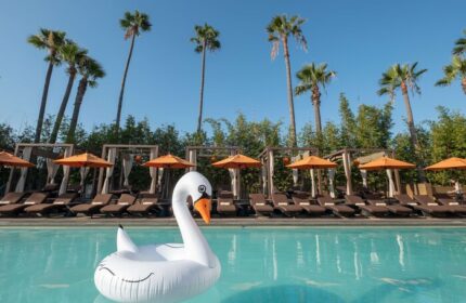 Hotel Maya A Doubletree Hotel pool with swan float, palm trees, and lounge chairs. A gay-friendly hotel for gay men travel advice.