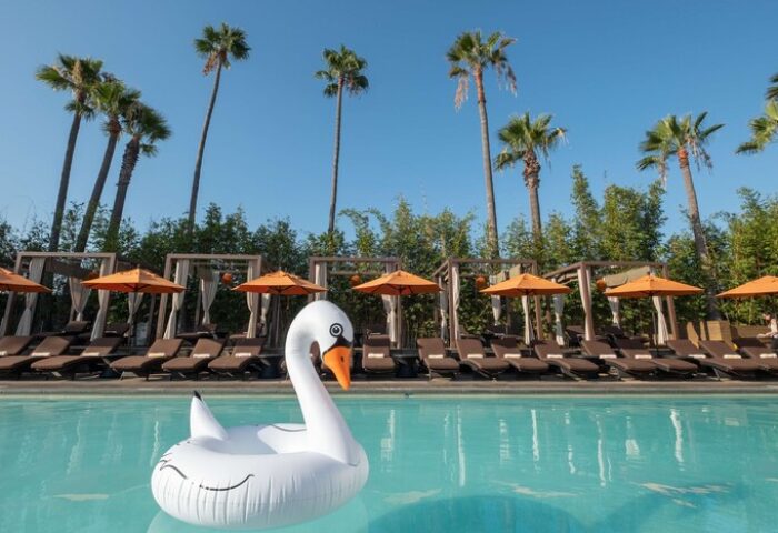 Hotel Maya A Doubletree Hotel pool with swan float, palm trees, and lounge chairs. A gay-friendly hotel for gay men travel advice.