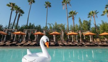 Hotel Maya A Doubletree Hotel pool with swan float, palm trees, and lounge chairs. A gay-friendly hotel for gay men travel advice.