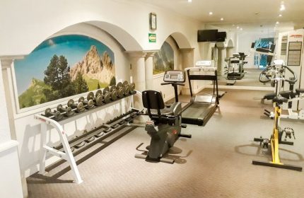 Hotel PF's gay-friendly gym. Weights, treadmill, exercise bike. Mountain mural. Fitness center for gay men travelers. Hotel PF.