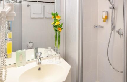 Hotel Scala gay-friendly hotel bathroom. Features a sink, mirror, shower, and fresh flowers. Great for gay men travel.