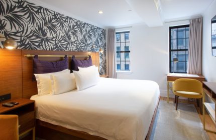 Hotel Scherman gay-friendly room. Queen bed, desk, and city views. Modern decor, purple pillows, and stylish wallpaper. Comfortable stay.