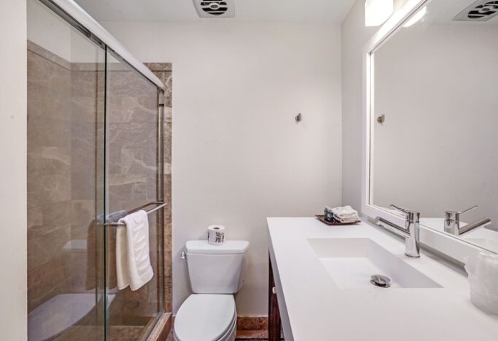 INNdulge Iconic Gay Men's Resort bathroom. Modern design with a glass shower, white counter, & toilet. Gay-friendly hotel for men's travel.