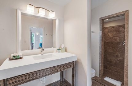 Bathroom at INNdulge, an iconic gay men's resort. Modern sink and vanity with a walk-in shower. Gay-friendly hotel design. Palm Springs travel.