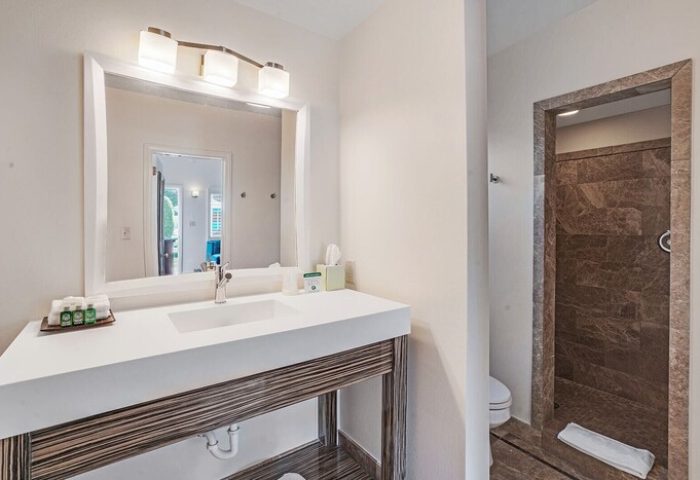 Bathroom at INNdulge, an iconic gay men's resort. Modern sink and vanity with a walk-in shower. Gay-friendly hotel design. Palm Springs travel.