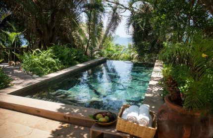 Pool at Imanta Resorts Punta De Mita, a gay-friendly hotel. Lush greenery surrounds the pool. Towels and fruit are nearby. Ocean view.