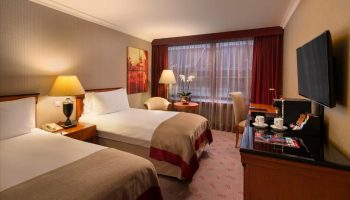 InterContinental Budapest hotel room. Gay-friendly, pet-friendly accommodation with twin beds, desk, TV and city view. Ideal for LGBTQ+ travelers.