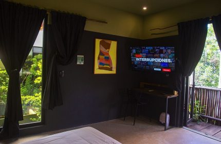 Loba Tulum Male Only room interior. Gay-friendly hotel with TV, desk, and balcony. Modern design with dark walls and natural light. Tulum travel.