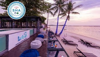 Gay Friendly Hotel Lub D Koh Samui Chaweng Beach Koh Samui