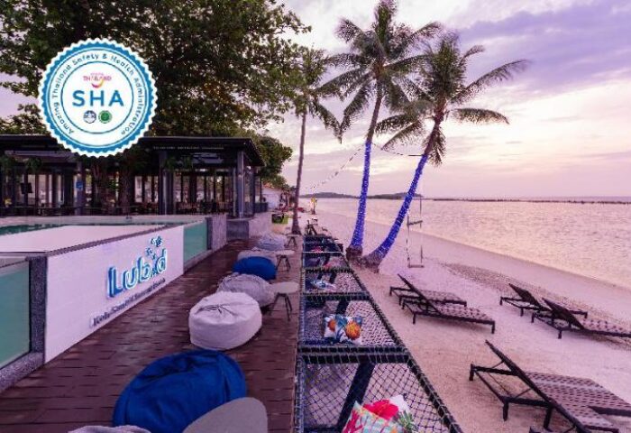Lub D Koh Samui Chaweng Beach, a gay-friendly hotel. Beachfront view with palm trees, lounge chairs, and SHA safety certification.