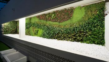 MS Aguamarina Suites gay-friendly hotel vertical garden. Outdoor wall with plants, flowers, and white stones. Modern design at this gay hotel.