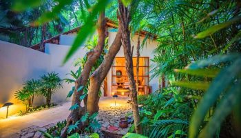 Lush garden view of a bungalow at Mahekal Beach Front Resort and Spa, a gay-friendly hotel. Tropical plants surround a cozy, warmly lit room.