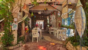 Maison Tulum's gay-friendly hotel restaurant. Open-air dining with white tables/chairs. Lush greenery, colorful decor, and unique artistic touches.