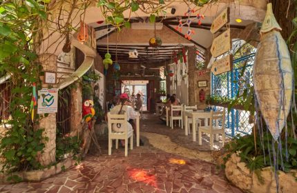 Maison Tulum's gay-friendly hotel restaurant. Open-air dining with white tables/chairs. Lush greenery, colorful decor, and unique artistic touches.