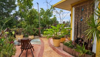 Maison Tulum gay-friendly hotel patio. Lush greenery, potted plants, and a wooden chair create a relaxing outdoor space. Rustic decor and vibrant colors.