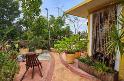 Maison Tulum gay-friendly hotel patio. Lush greenery, potted plants, and a wooden chair create a relaxing outdoor space. Rustic decor and vibrant colors.