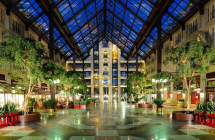 Maritim Hotel Koeln's atrium, a gay-friendly hotel. The interior features a glass ceiling, trees, and a spacious lobby. #gaytravel #cologne