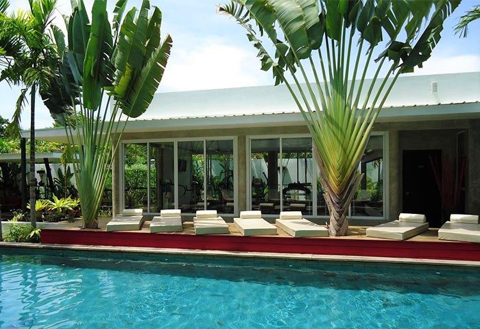 Poolside view at a gay-friendly men's resort & spa. Loungers line the pool deck, with palm trees and a gym visible through the windows.
