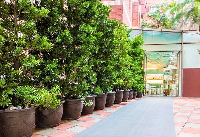 New Riverview Suites gay-friendly hotel exterior. Potted plants line a walkway leading to the entrance. Ideal for gay men travel.