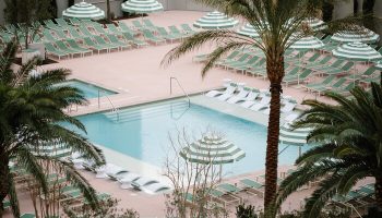 NoMad Las Vegas gay-friendly hotel pool. Palm trees, striped umbrellas, and lounge chairs surround a clear blue pool. Luxury travel.