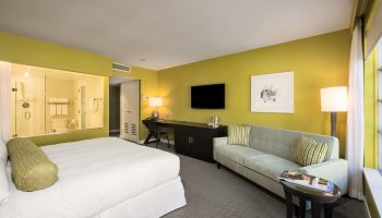 Opus Hotel room. Gay-friendly hotel with a bed, sofa, desk, and a bathroom with a glass wall. Modern design with yellow walls.