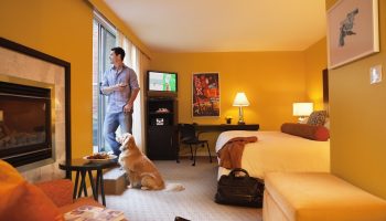 Opus Hotel's gay-friendly room with man, golden retriever, fireplace, and bed. A luxury travel experience for gay men and their pets.