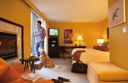 Opus Hotel's gay-friendly room with man, golden retriever, fireplace, and bed. A luxury travel experience for gay men and their pets.