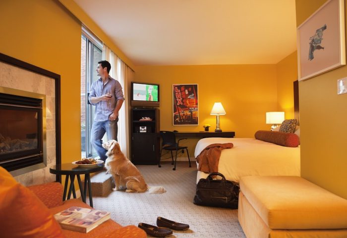 Opus Hotel's gay-friendly room with man, golden retriever, fireplace, and bed. A luxury travel experience for gay men and their pets.