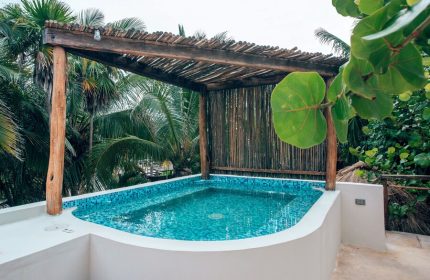 Rooftop pool at Orchid Beach House Adults Only, a gay-friendly hotel. Blue mosaic tiles sparkle in the sun. Tropical plants surround the pool.