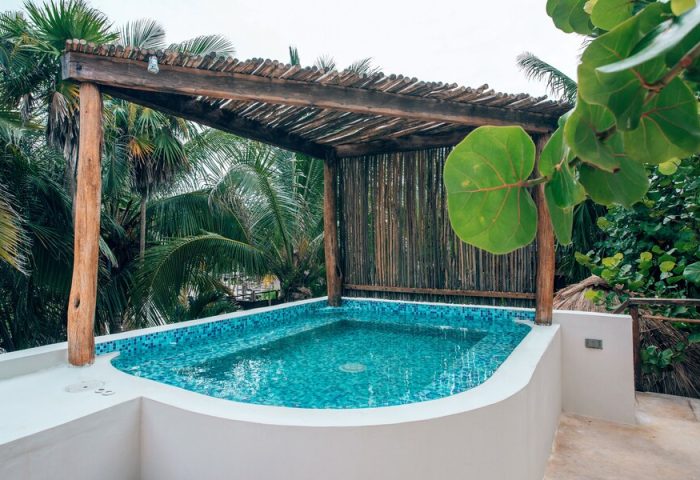 Rooftop pool at Orchid Beach House Adults Only, a gay-friendly hotel. Blue mosaic tiles sparkle in the sun. Tropical plants surround the pool.
