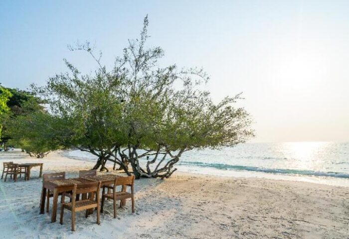 Beachfront dining at Paradee Resort, a gay-friendly hotel. Tables and chairs on the sand under a tree, with ocean views. Ideal for gay travel.