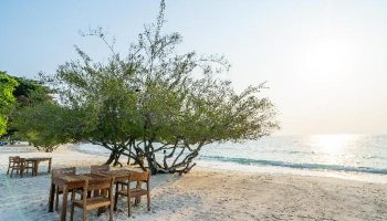 Beachfront dining at Paradee Resort, a gay-friendly hotel. Tables and chairs on the sand under a tree, with ocean views. Ideal for gay travel.