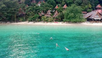 Phi Phi Relax Beach Resort: Gay-friendly hotel with turquoise water, beach, and swimmers. Tropical paradise for gay men travelers.