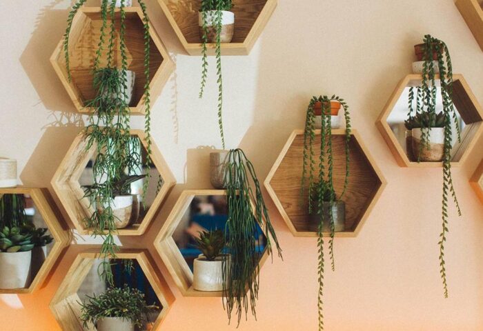 Qbic London City hotel's wall decor. Hexagonal shelves with potted plants. A pet-friendly, gay-friendly hotel with a modern design.