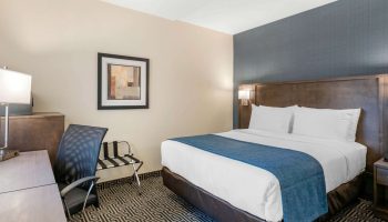 Quality Inn Centre-Ville gay-friendly hotel room. Bed with blue runner, desk, chair, and patterned carpet. Comfortable stay for gay travelers.