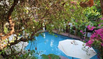 Rambutan Resort Siem Reap pool view. Gay-friendly hotel with lush greenery, swimming pool, and relaxing atmosphere. Ideal for gay travel.