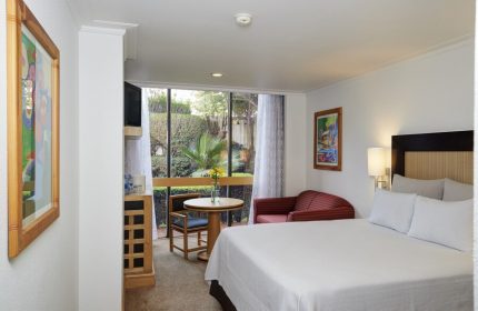 Hotel Royal Reforma gay-friendly room. Features a bed, sofa, table, & garden view. Ideal Zona stay for gay travelers.